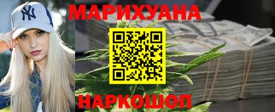 крисы Аргун