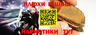 крисы Аргун