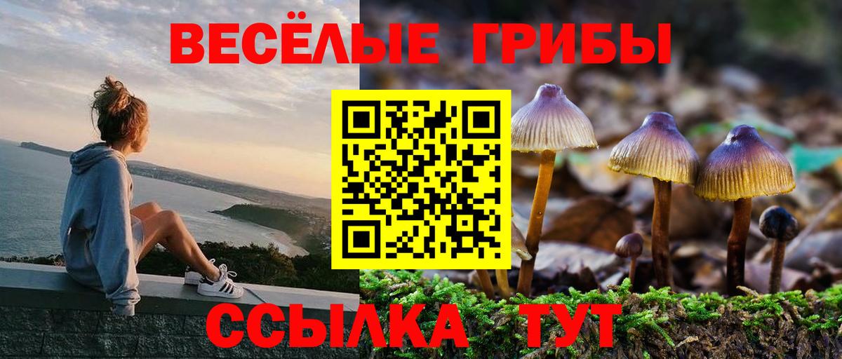 Псилоцибиновые грибы Cubensis  Галлюциногенные грибы мицелий  Апрелевка  Вход с VPN 